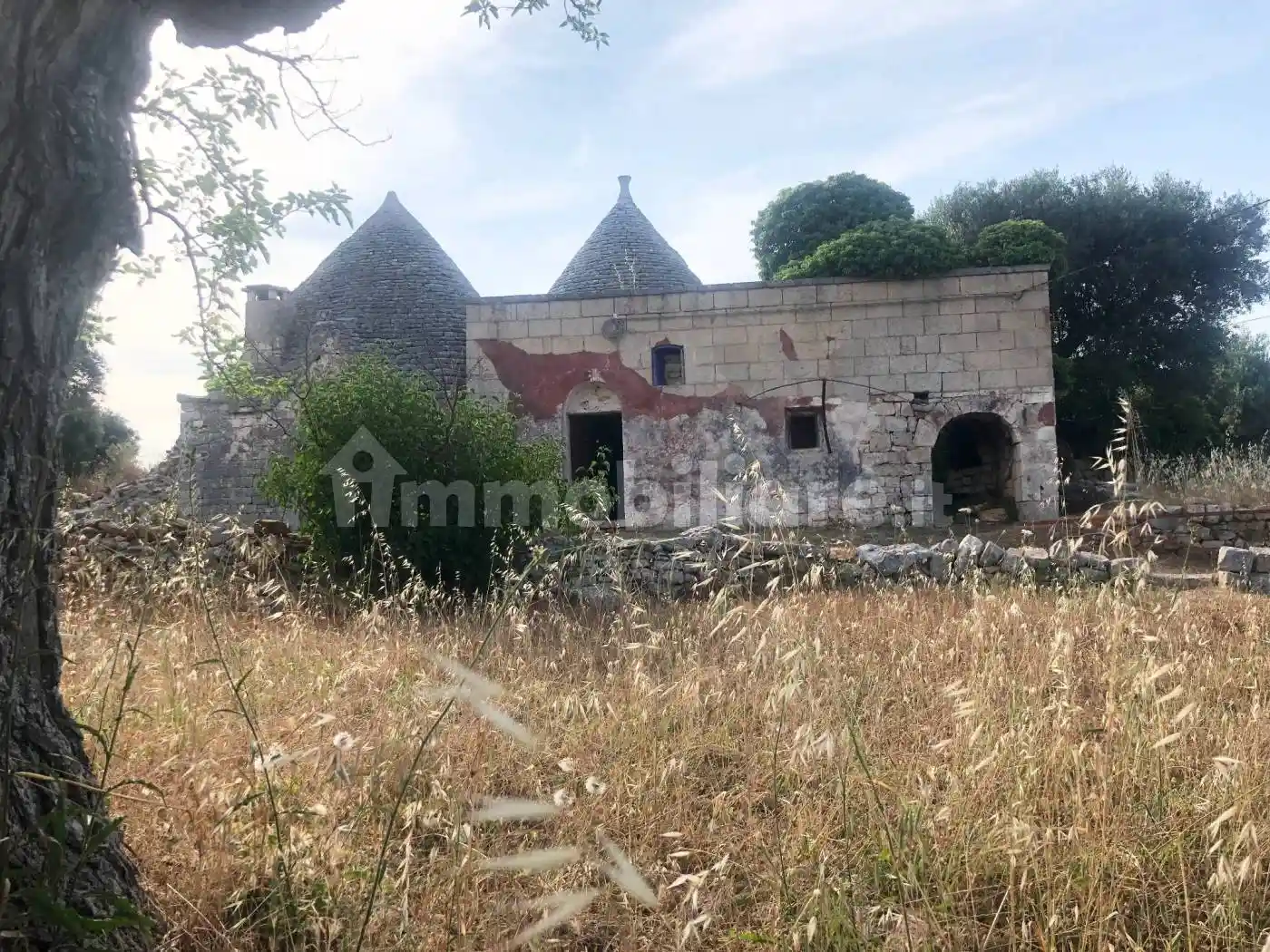 Rustico - Casale in vendita a Monopoli