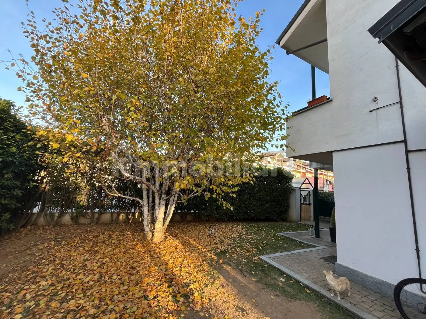 Villa unifamiliare via Durando, Centro, Caraglio - foto 4