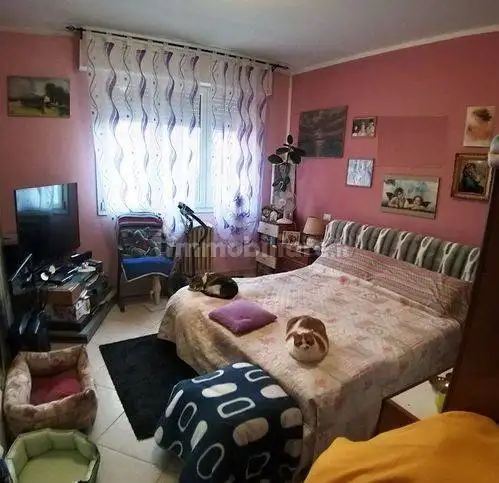 Trilocale piazza Giacomo Matteotti 31, Centro, Codigoro - foto 3