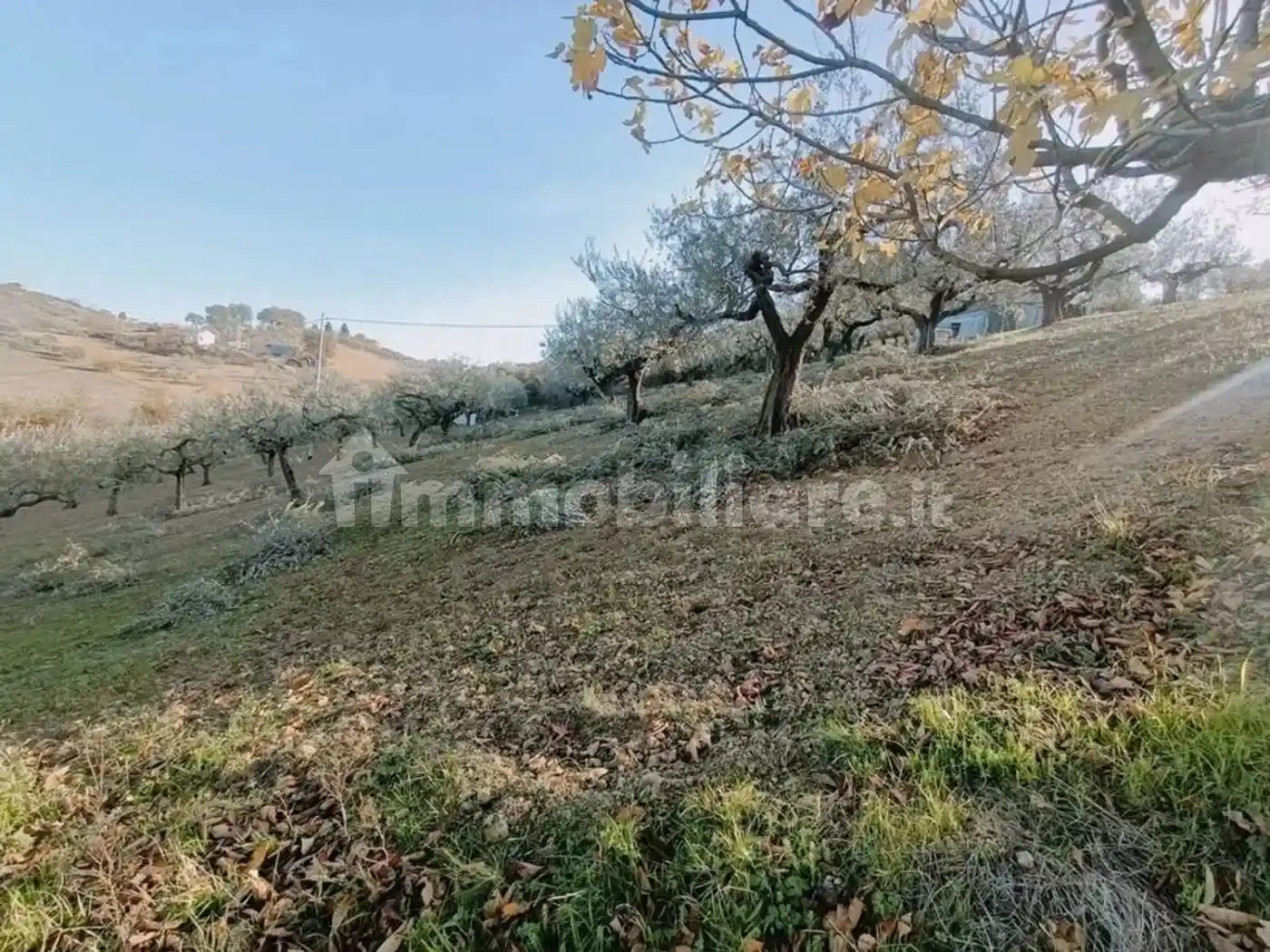 Villa unifamiliare Contrada Casale No Number, Penne - foto 4