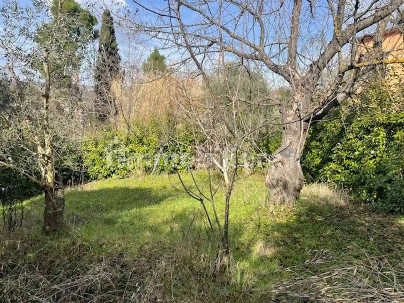 Villa unifamiliare via Roma No Number, Centro, Bisenti - foto 5