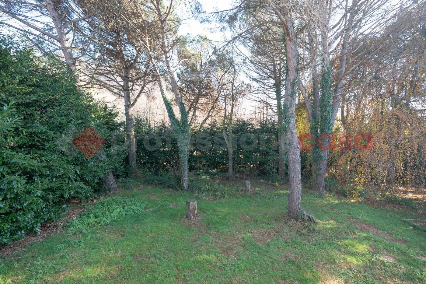 Terratetto unifamiliare Strada Raimondi, Cumiana - foto 5