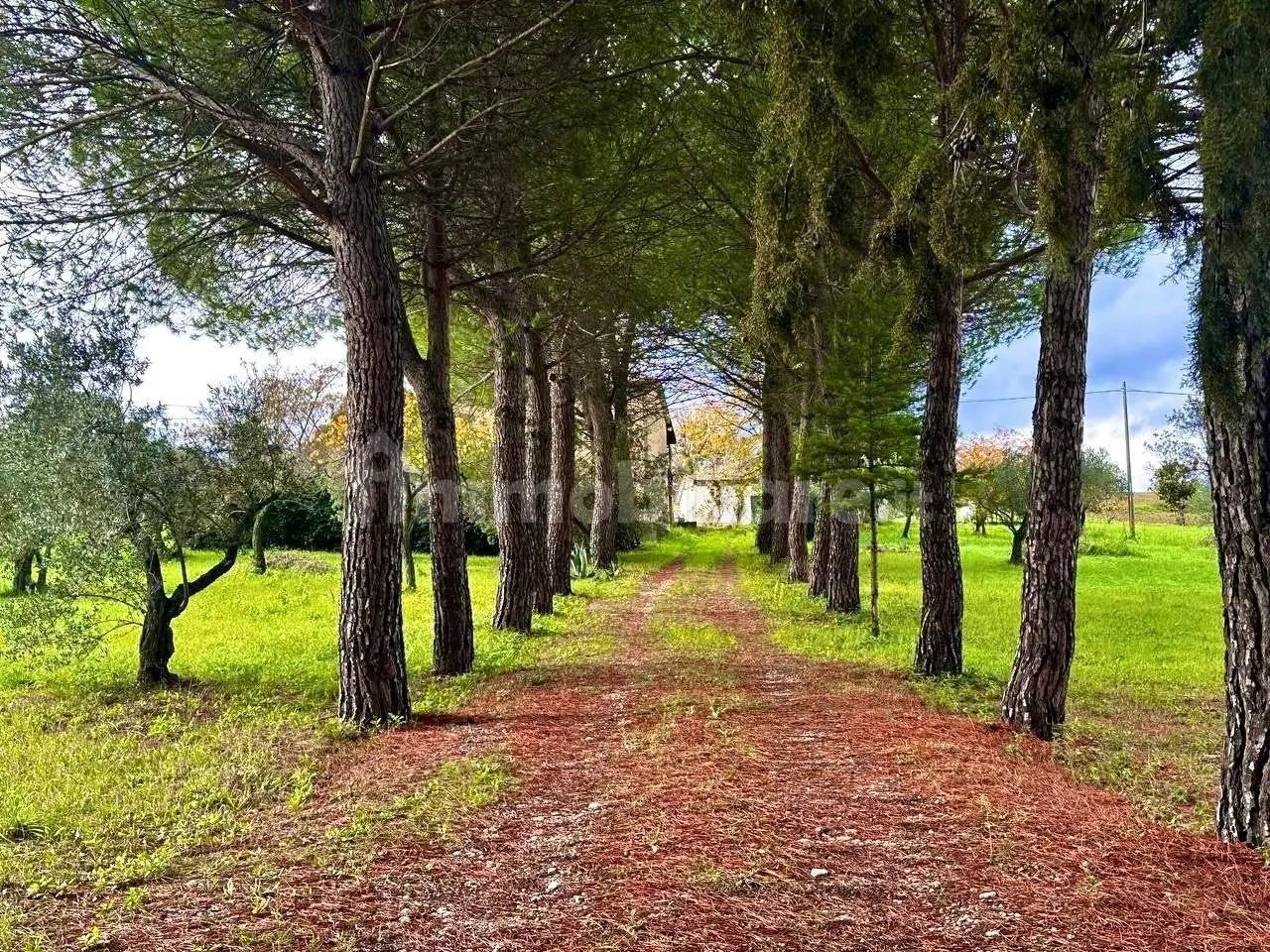 Villa in vendita a Ferrazzano