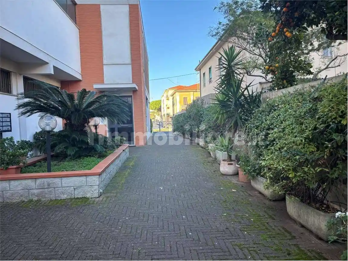 Quadrilocale viale petrarca, 31, Coteto, Livorno - foto 2