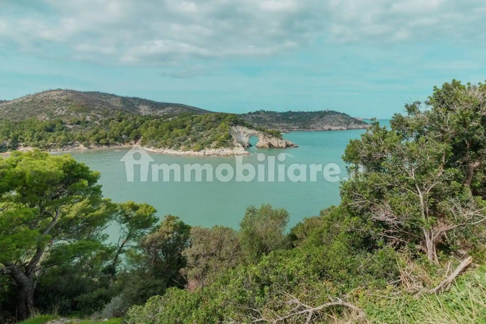 Appartamento in vendita a Vieste