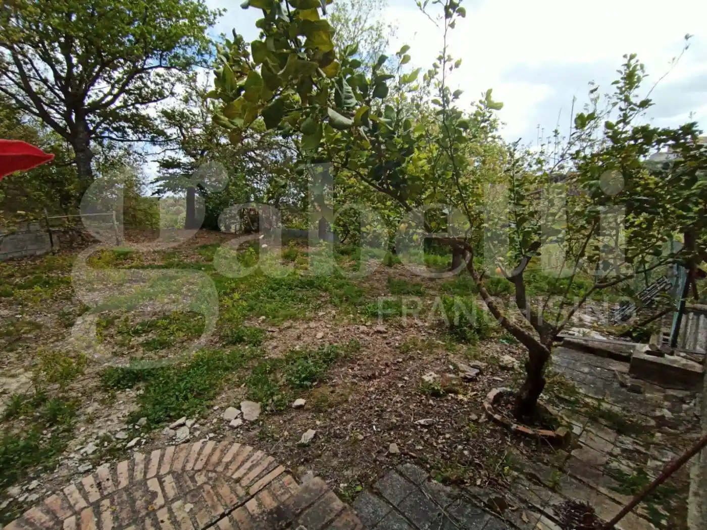 Villa unifamiliare Contrada Muzzani, 1, Centro, Borgia - foto 3