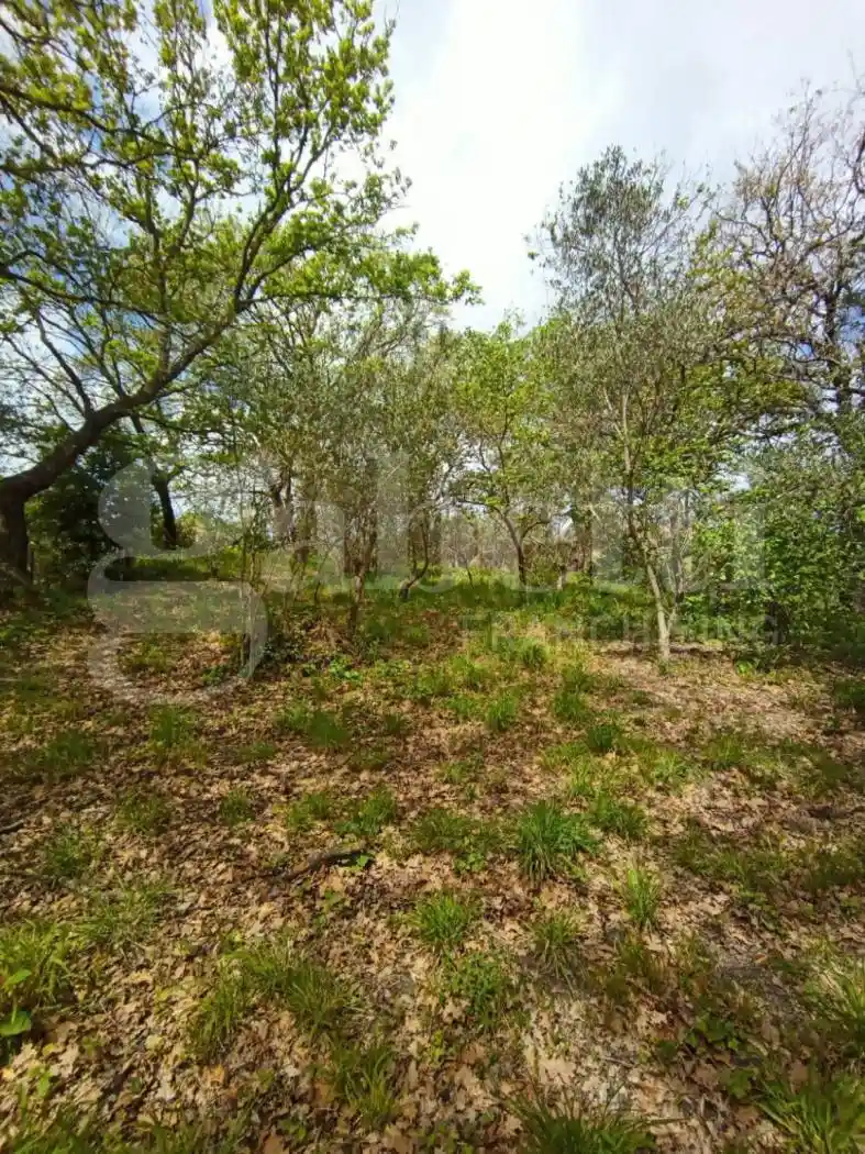 Villa unifamiliare Contrada Muzzani, 1, Centro, Borgia - foto 4