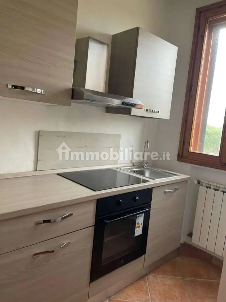 Appartamento in affitto a Medicina