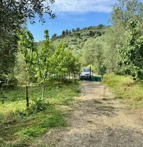 Villa unifamiliare Località Case Sottane, Centro, Vasia - foto 3