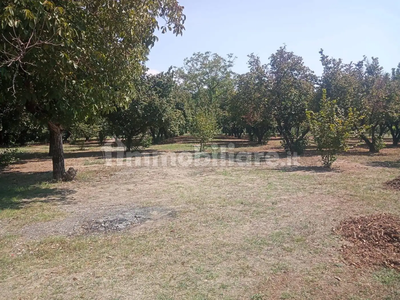 Terratetto unifamiliare via Torso Lombari, Santa Lucia, Caianello - foto 2