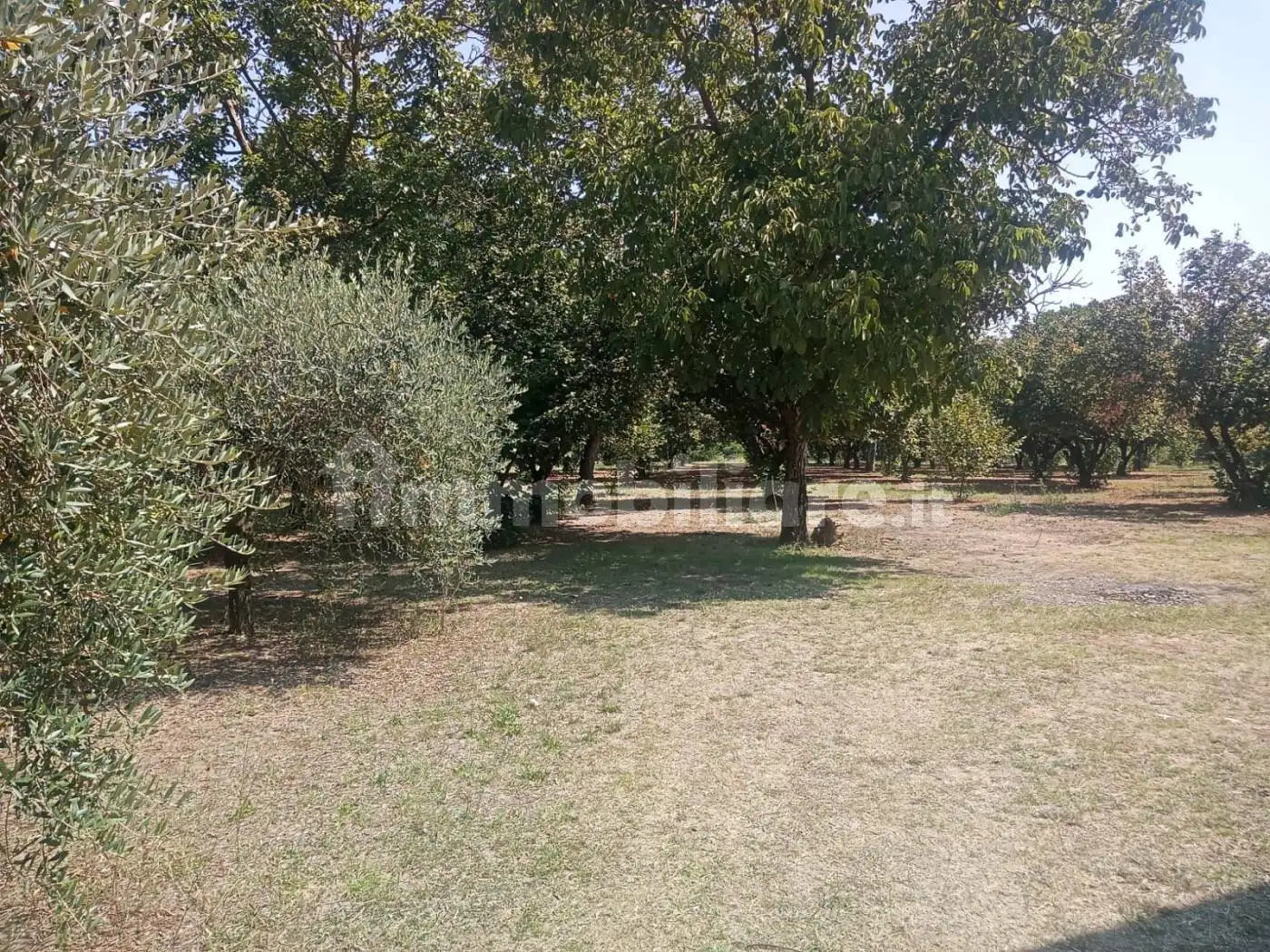 Terratetto unifamiliare via Torso Lombari, Santa Lucia, Caianello - foto 3