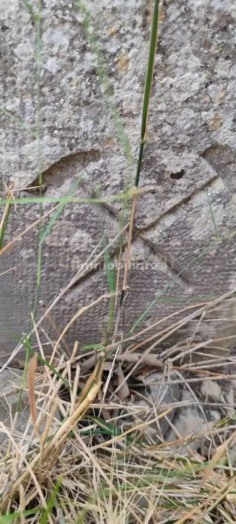 Rustico SS115, km 323, Zona Industriale, Ragusa - foto 2