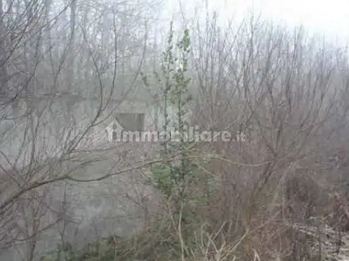 Palazzo - Stabile - foto 5