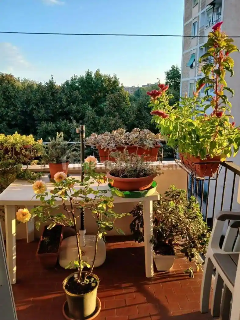 Trilocale via Paolo Maspero 51, Molise - Cuoco, Milano - foto 3