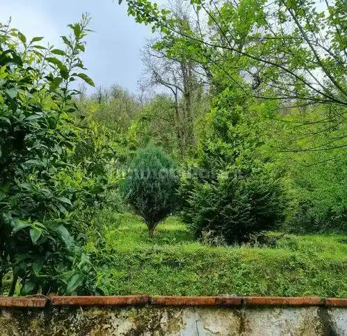 Villa unifamiliare, buono stato, 70 m², San Carlo - Antona, Massa - foto 5