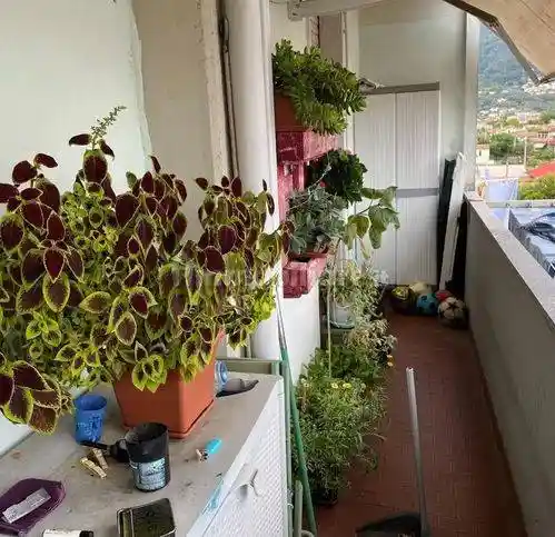 Appartamento via Manara Valgimigli, Romagnano, Massa - foto 5