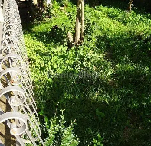 Villa in vendita a Cascina