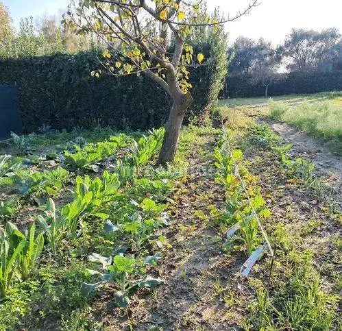 Villa in vendita a Cascina