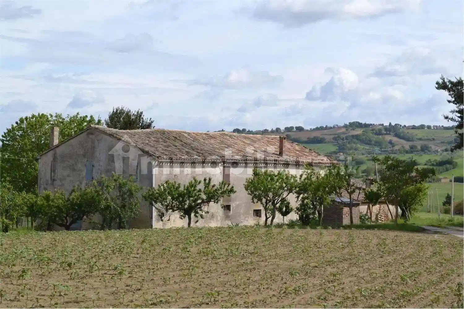 Cascina via San Vincenzo No Number, Cartoceto - foto 4