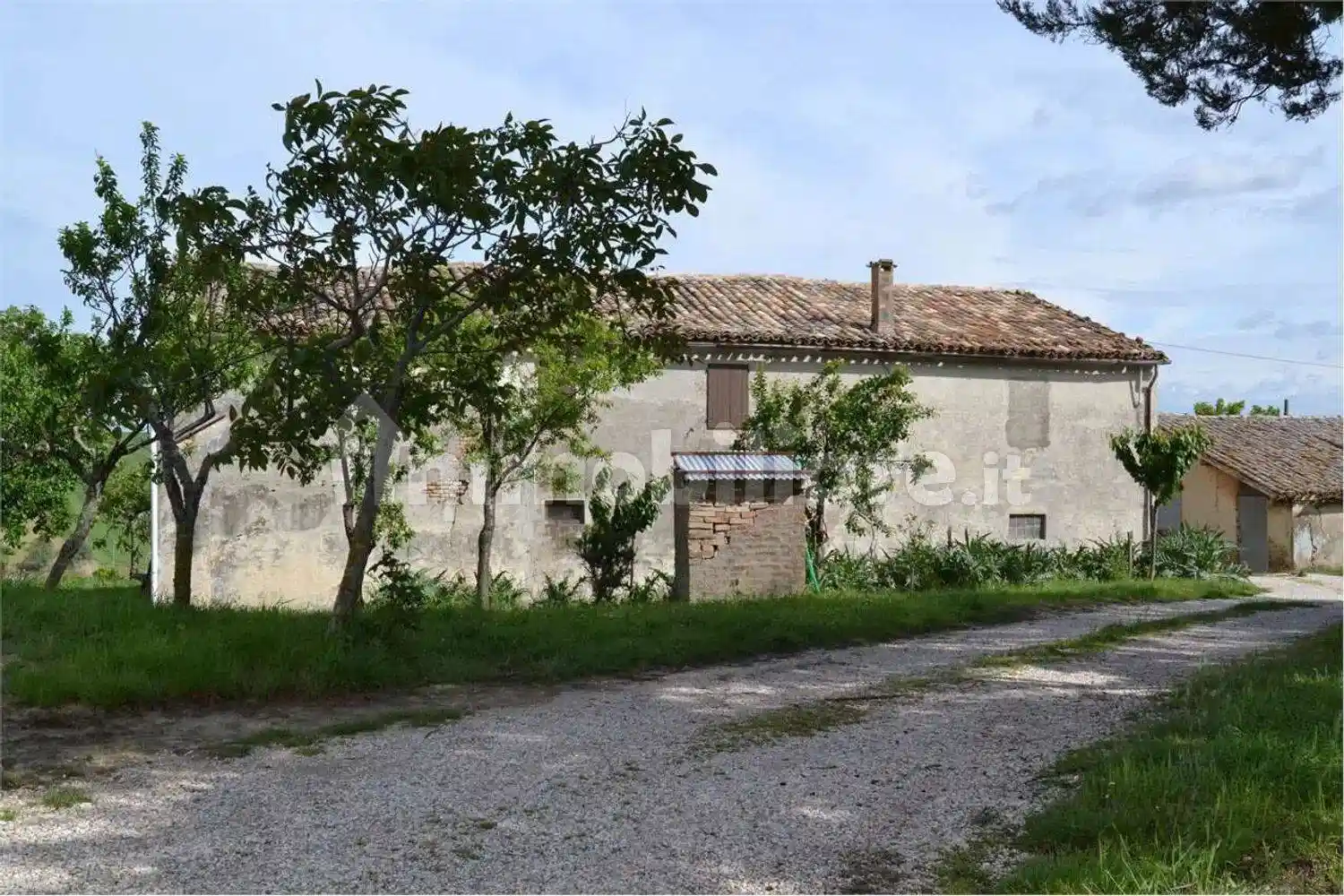 Cascina via San Vincenzo No Number, Cartoceto - foto 5