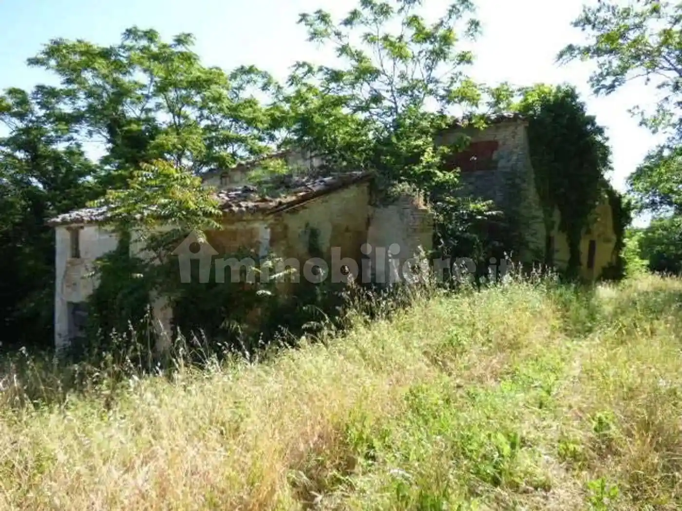 Rustico - Casale in vendita a Vallefoglia