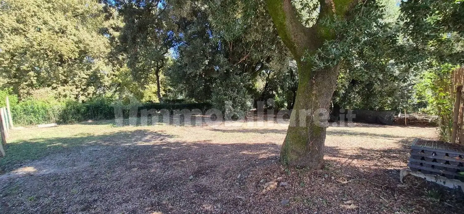 Appartamento primo piano, Borgo San Lorenzo - foto 4