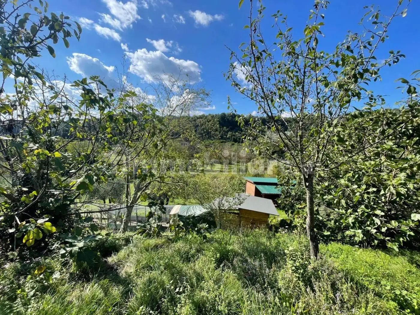 Rustico, buono stato, 200 m², Borgo San Lorenzo - foto 3