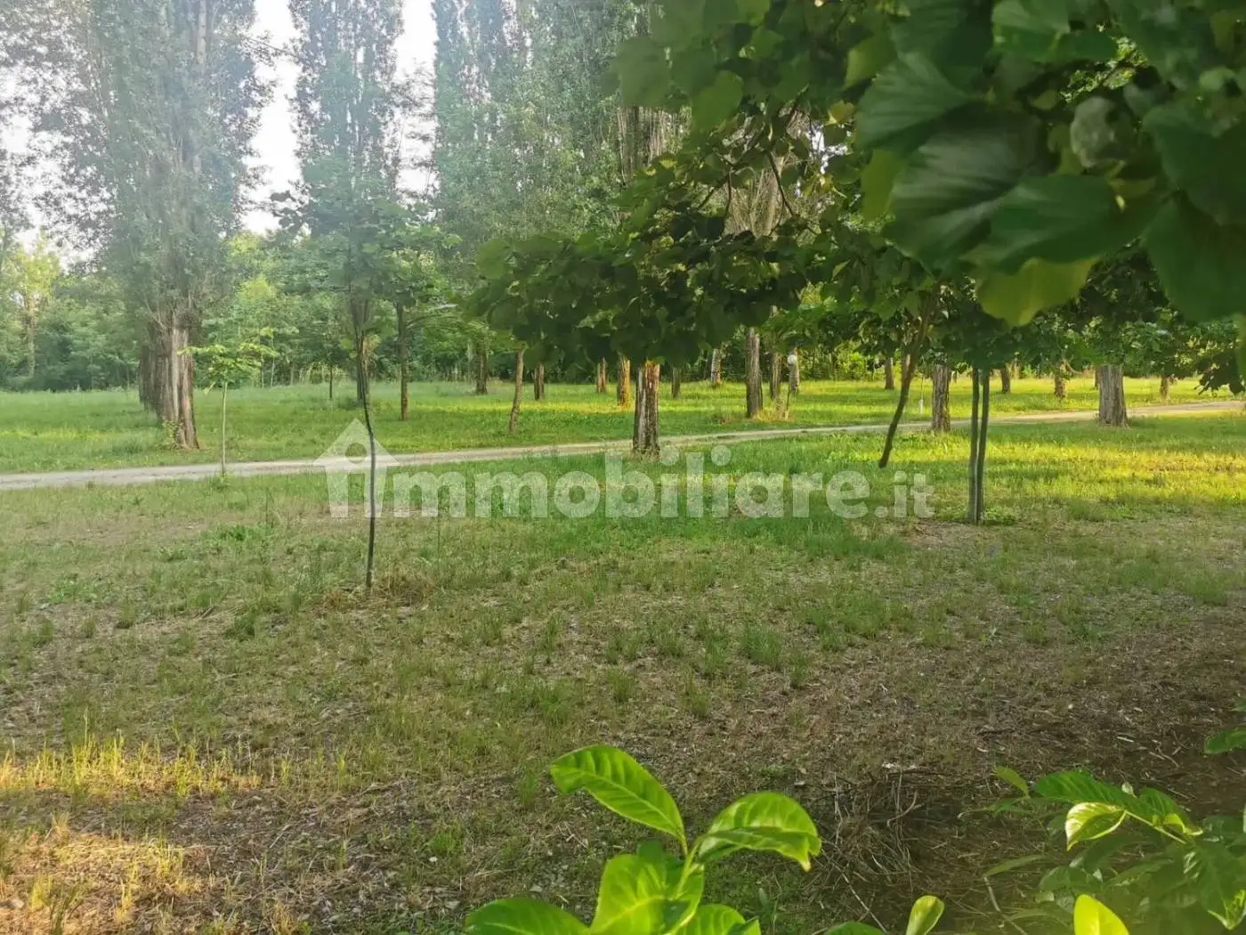 Cascina, buono stato, 90 m², Casello, Barberino di Mugello - foto 3