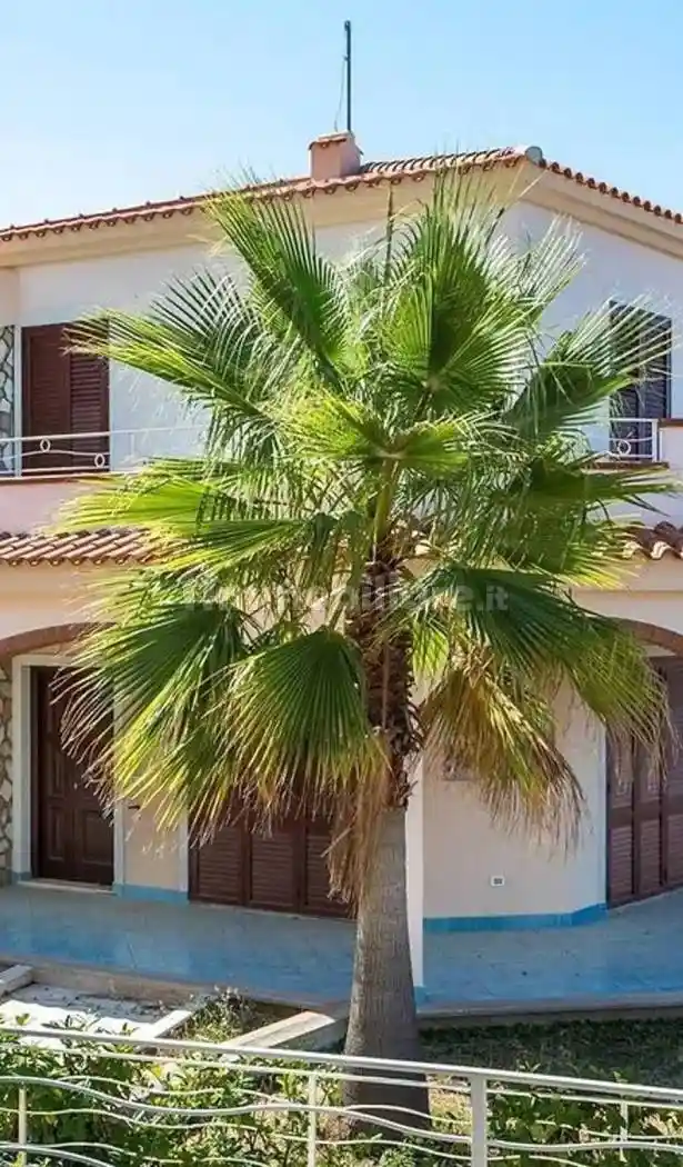 Villa unifamiliare Contrada Castromurro No Number, Centro, Belvedere Marittimo - foto 2