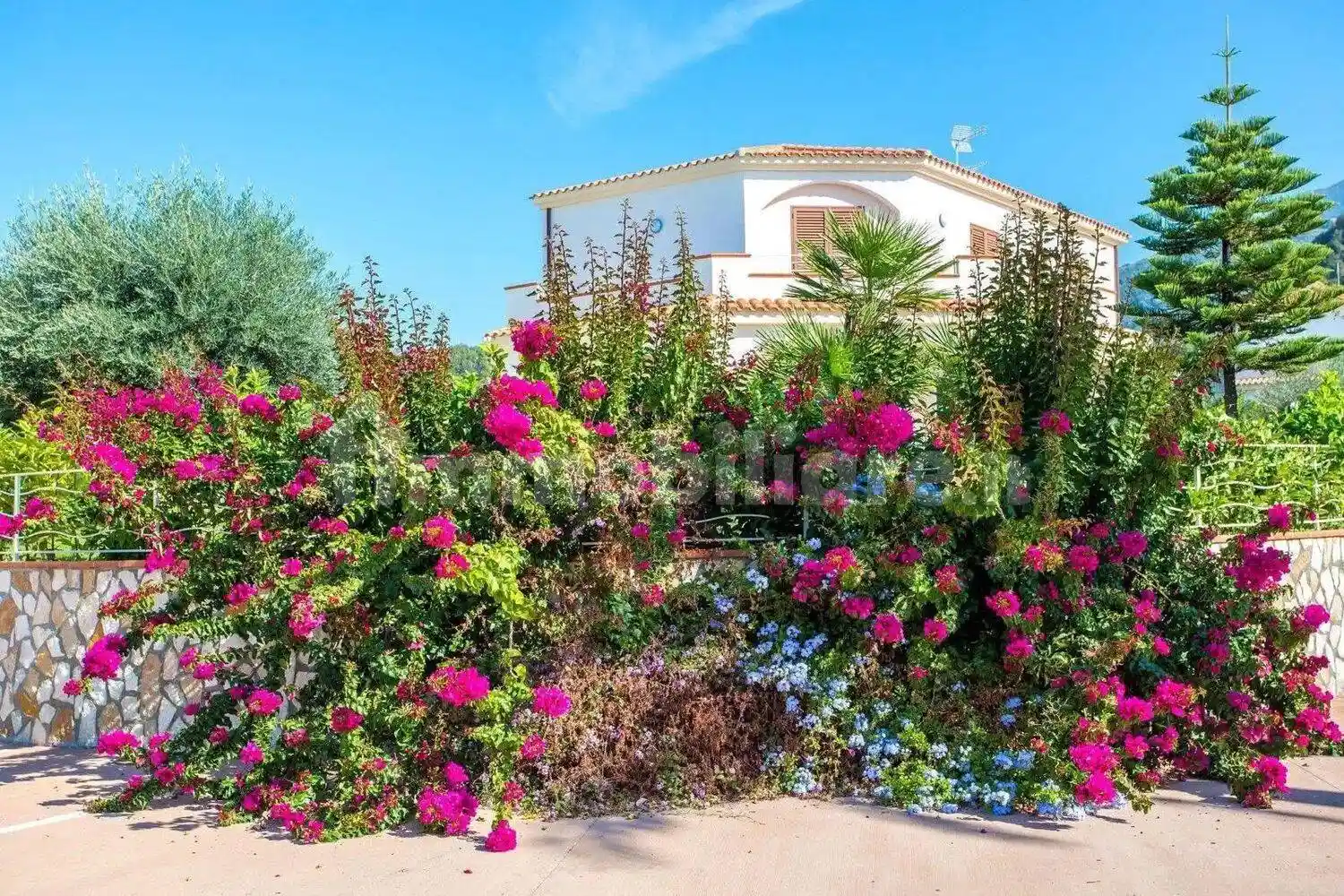 Villa unifamiliare Contrada Castromurro No Number, Centro, Belvedere Marittimo - foto 5