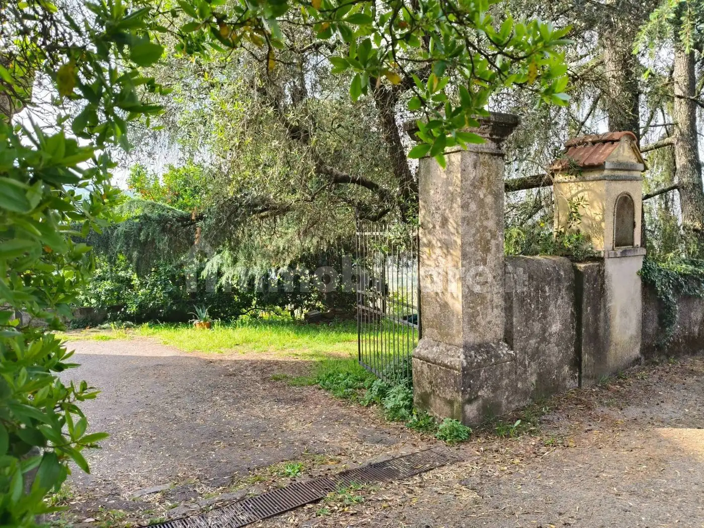 Rustico - Casale in vendita a Larciano