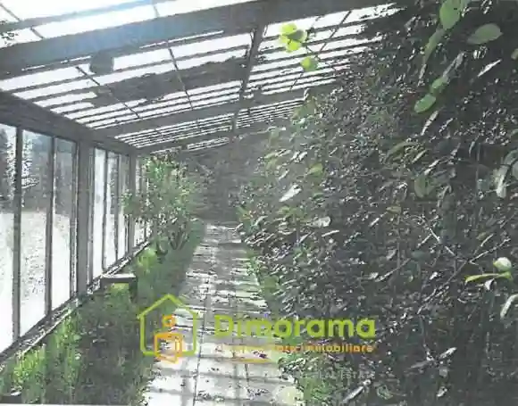 Palazzo - Stabile - foto 5