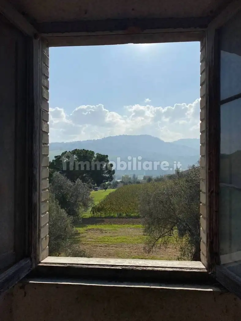 Rustico - Casale in vendita a Montefiore dell'Aso