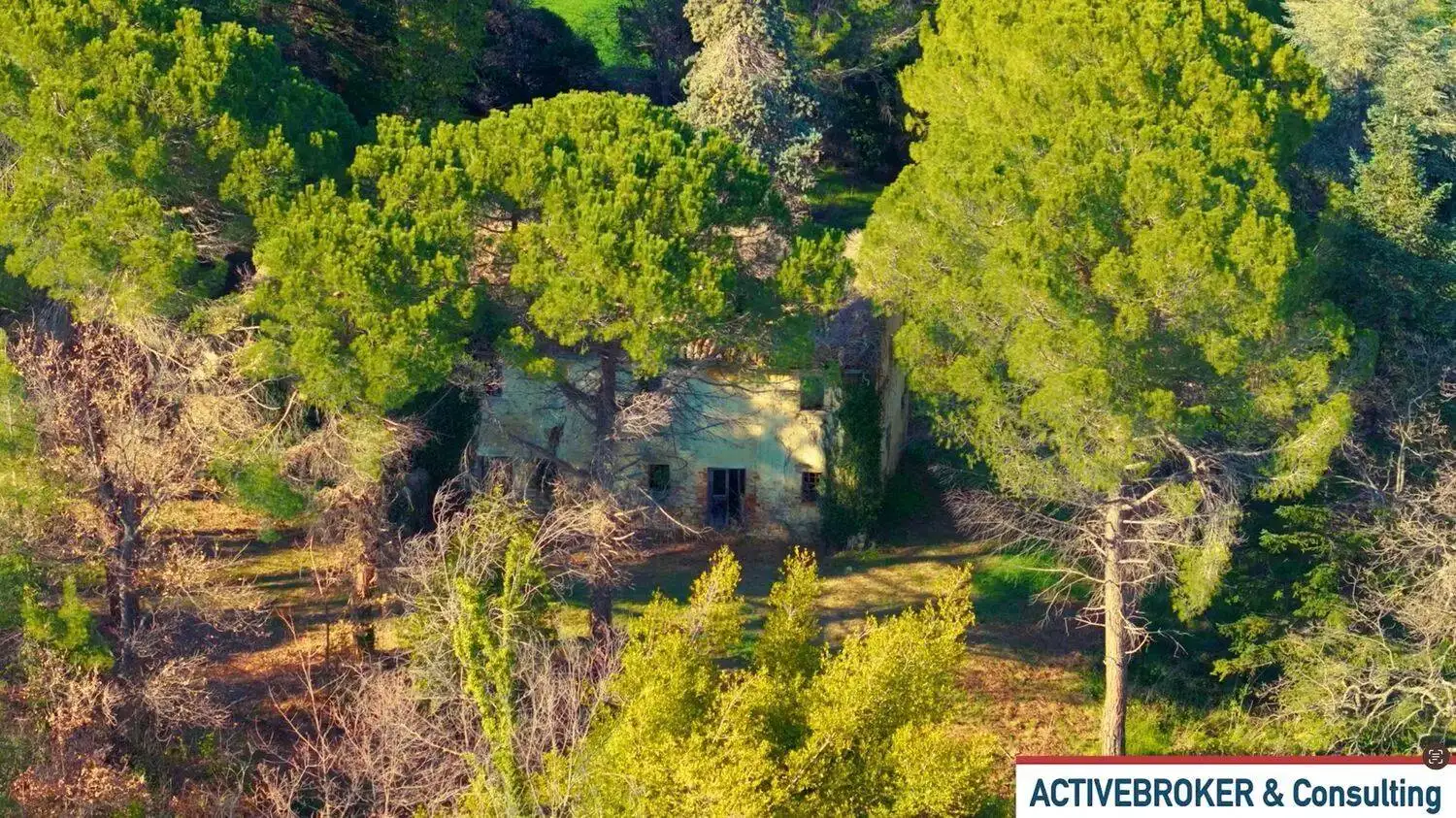 Rustico - Casale in vendita a Montelparo