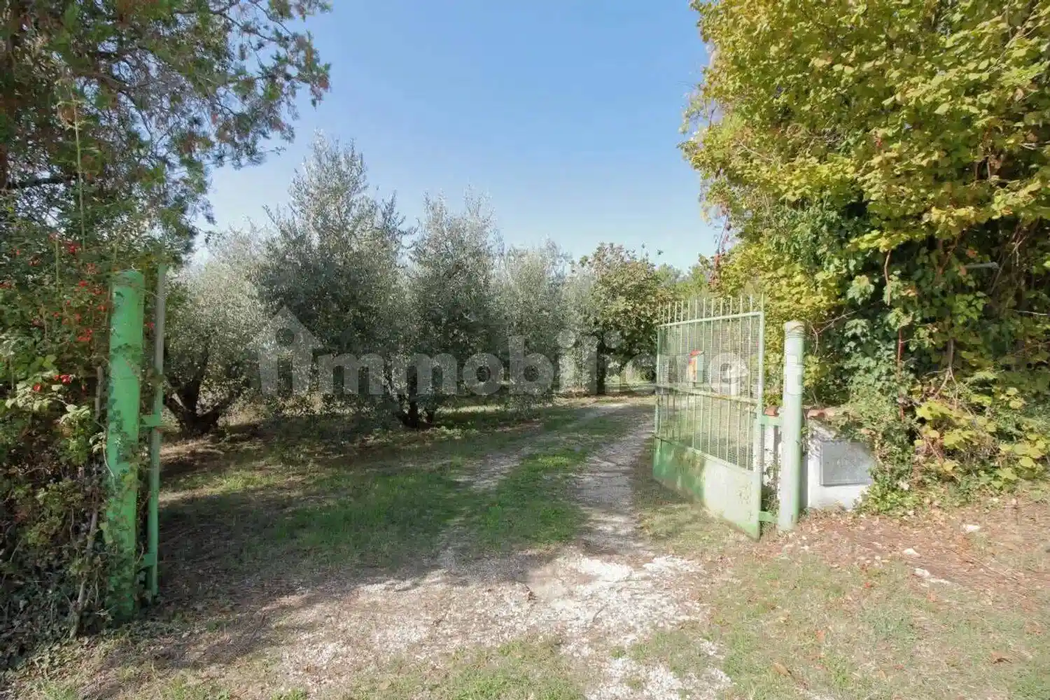 Rustico - Casale in vendita a Amelia