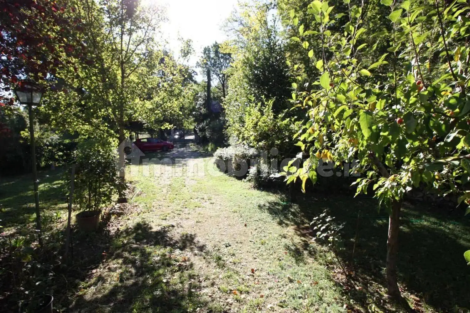 Cascina Sp9, 9, Amelia - foto 4