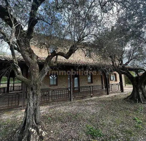 Appartamento in vendita a Castelplanio