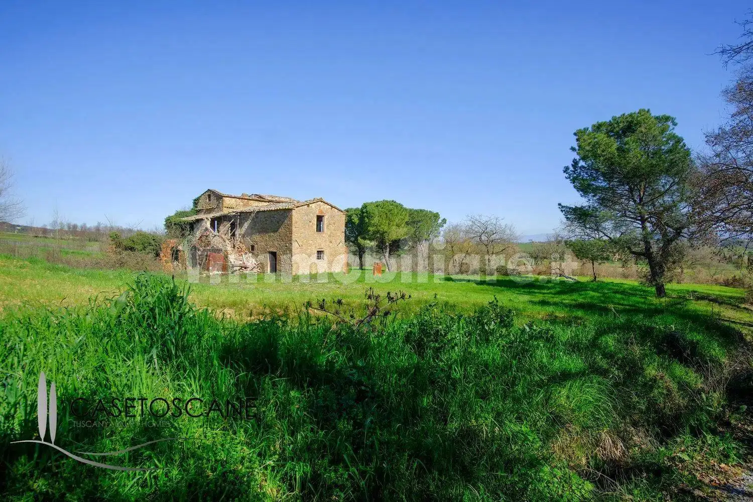 Rustico - Casale in vendita a Lucignano