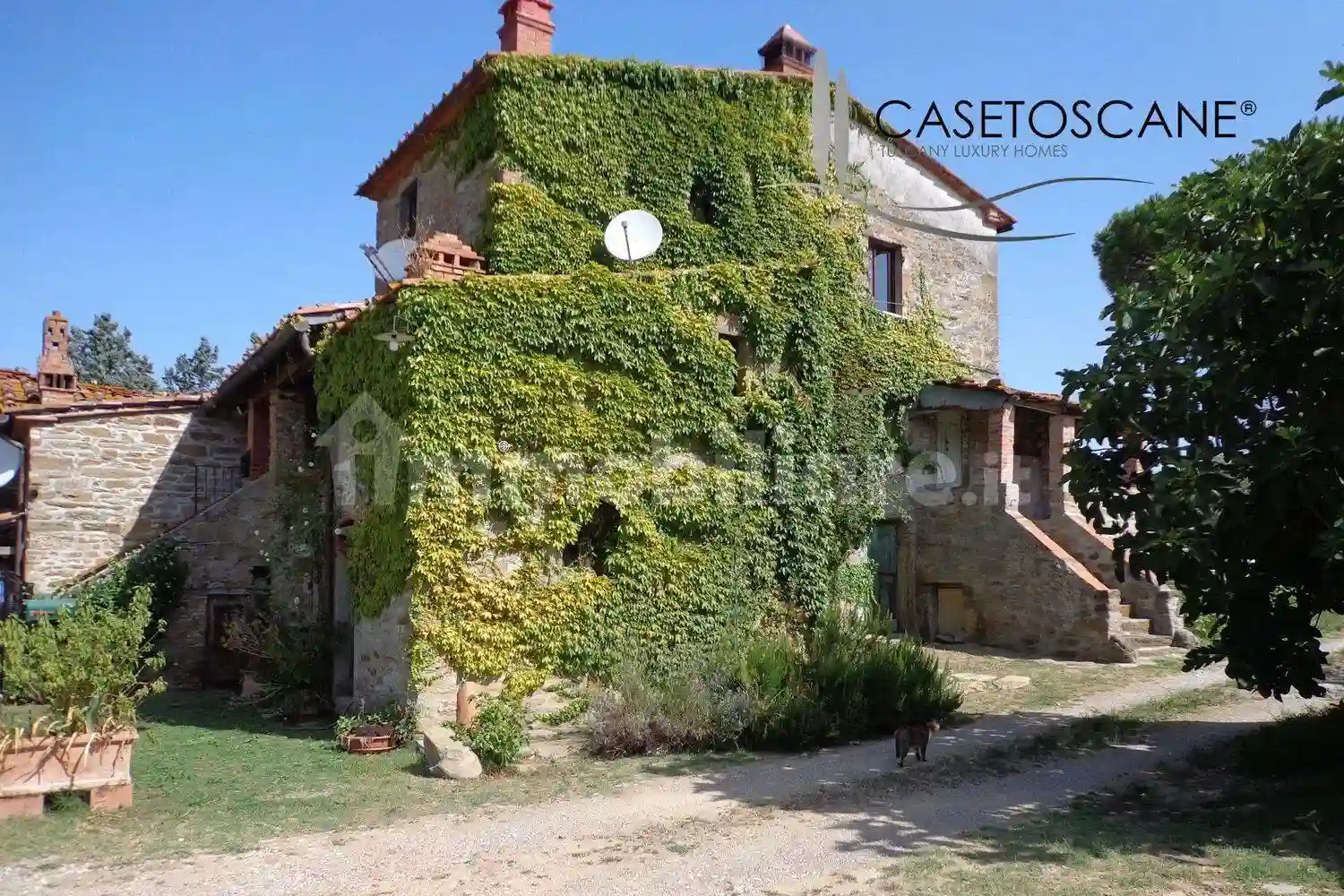 Rustico - Casale - foto 3