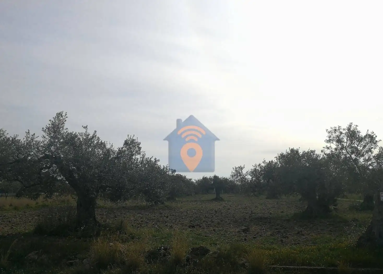 Villa unifamiliare via Felice Cavallaro 55, Marinella, Castelvetrano - foto 2