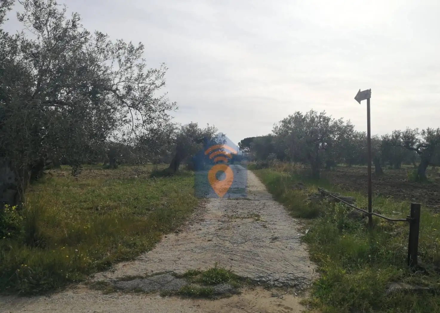 Villa unifamiliare via Felice Cavallaro 55, Marinella, Castelvetrano - foto 4