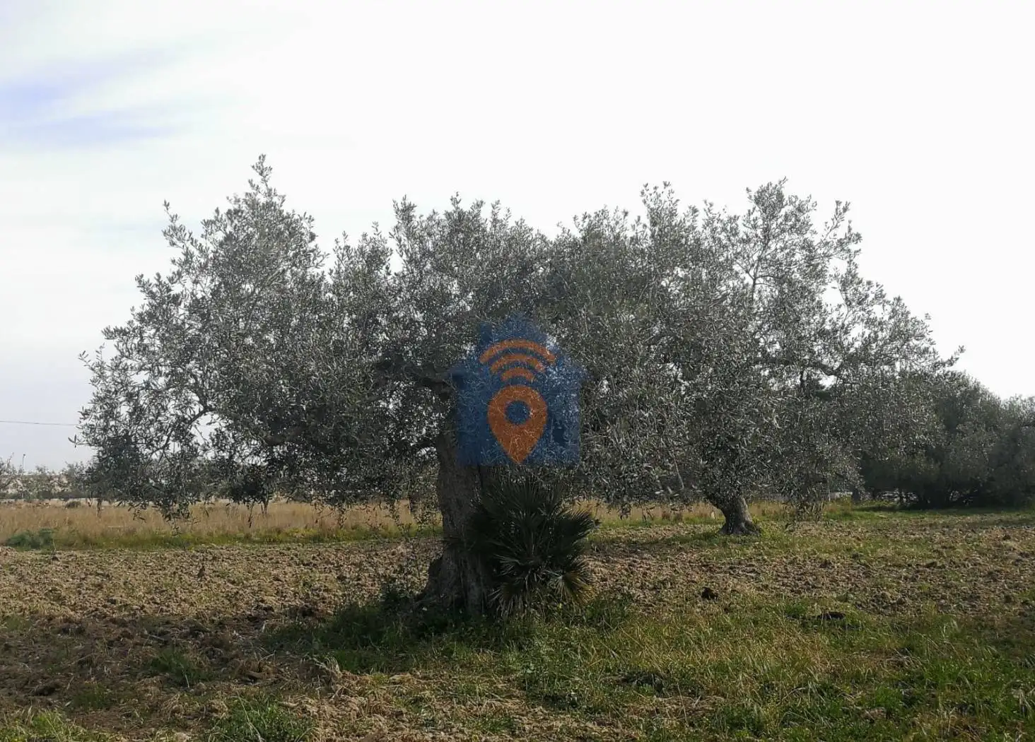 Villa unifamiliare via Felice Cavallaro 55, Marinella, Castelvetrano - foto 5