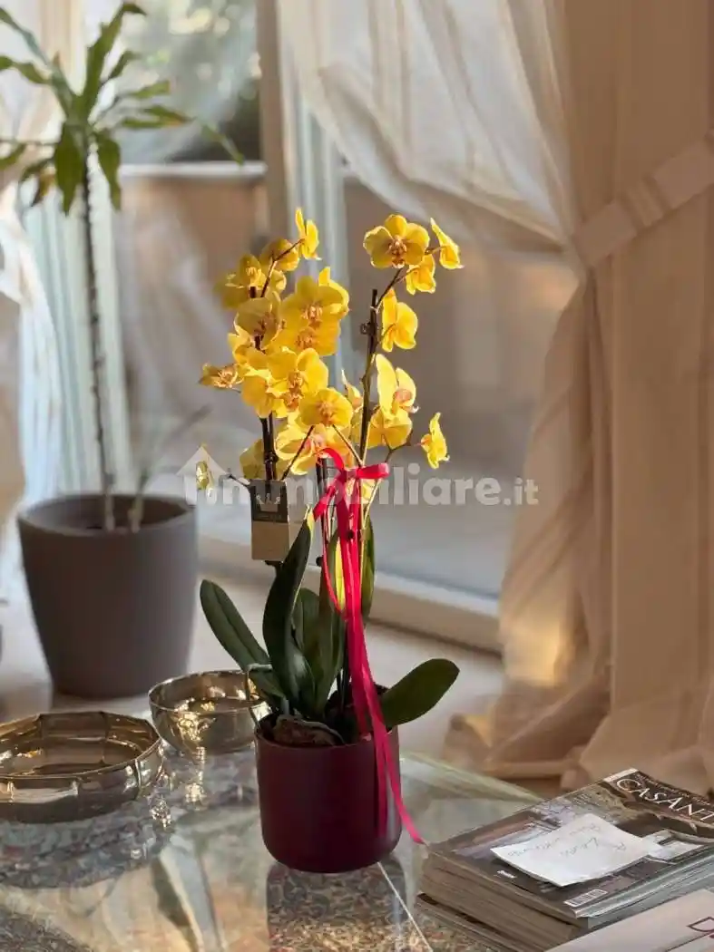 Villa unifamiliare, buono stato, 300 m², Besurica, Piacenza - foto 3