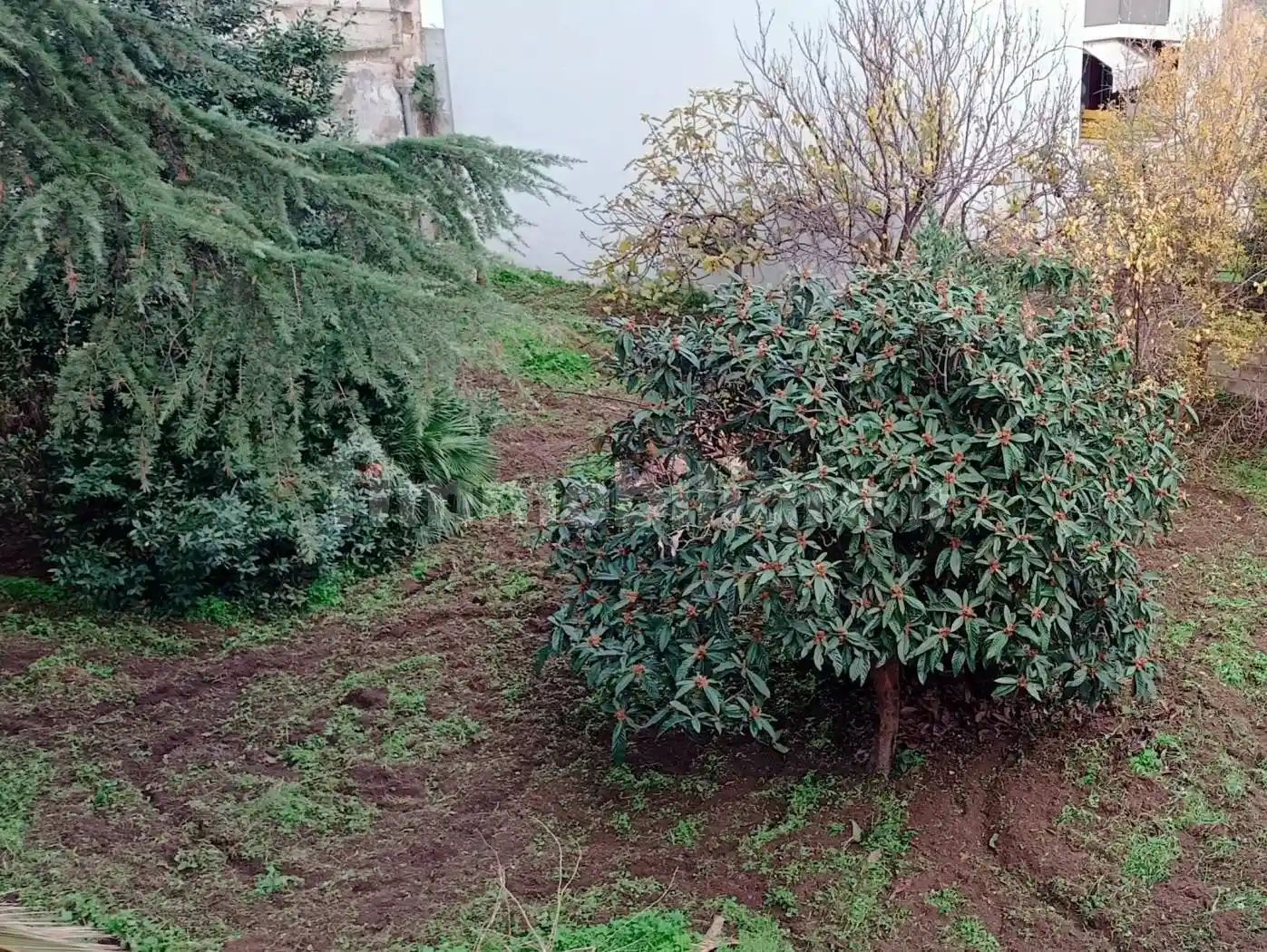 Terratetto unifamiliare via Borgo Rurale Nuovo 6-8, Adelfia - foto 5