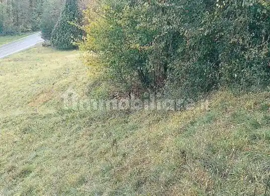 Palazzo - stabile all'asta via Clemente Vercellone, 124, Sordevolo - foto 3