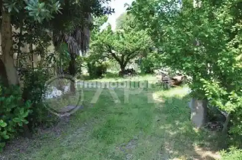 Palazzo - Stabile - foto 5