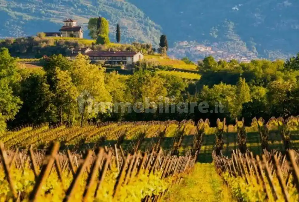 Appartamento in affitto a Erbusco