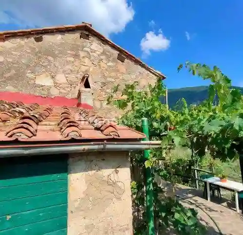 Rustico via Vecchia Di Tre Colli, Calci - foto 4