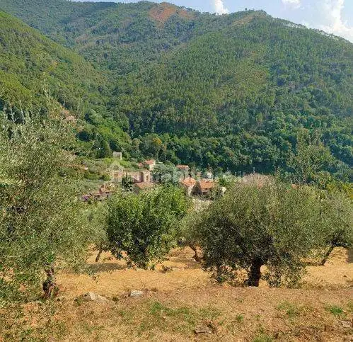 Rustico via Vecchia Di Tre Colli, Calci - foto 2