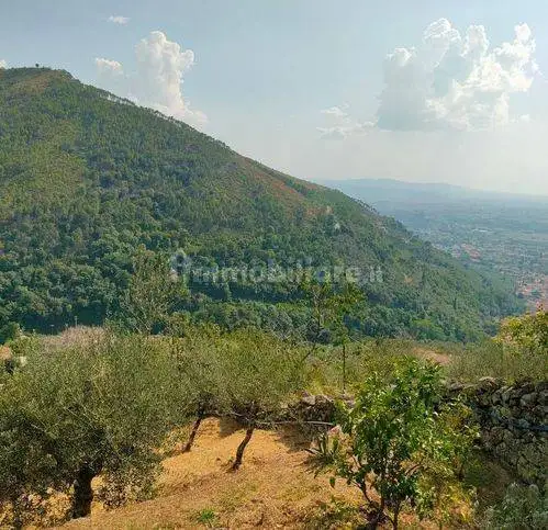 Rustico via Vecchia Di Tre Colli, Calci - foto 3